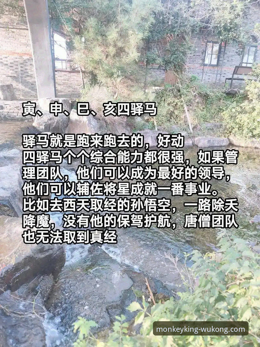 悟空体育观看地址 资深用户分享:悟空体育观看地址的深度使用心得与创新观赛方案